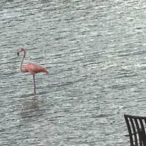 Lake Front Providenciales